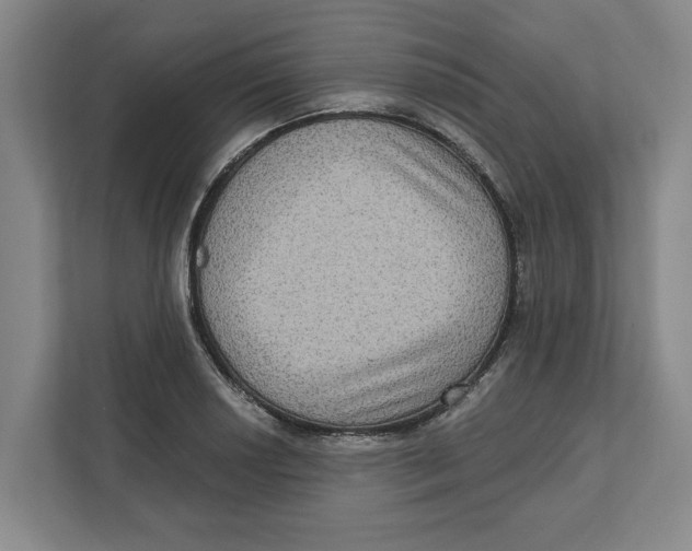 X0000112351034200909101039