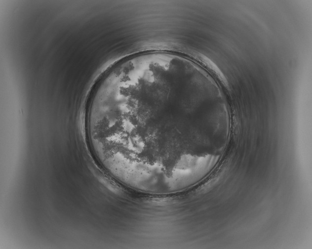 X0000112351035200909101039