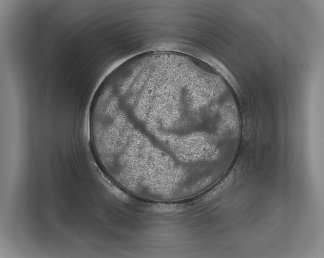 X0000112351036200909101039