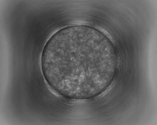 X0000112351039200909101039