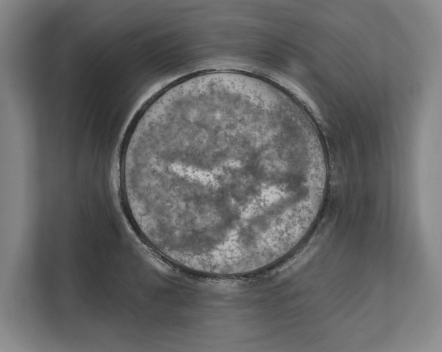 X0000112351040200909101039