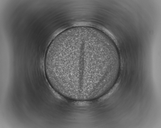 X0000112351041200909101039