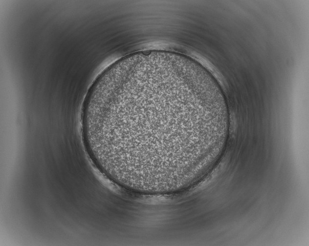 X0000112351042200909101039