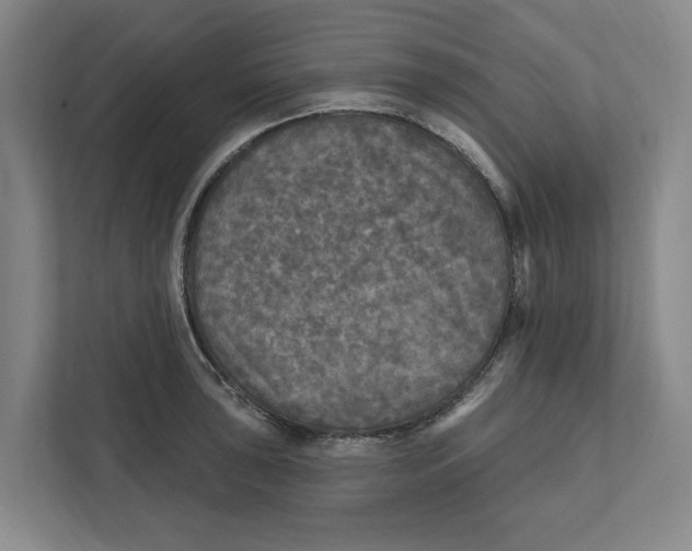 X0000112351043200909101039