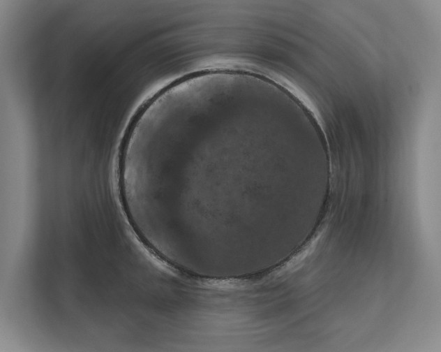 X0000112351045200909101039