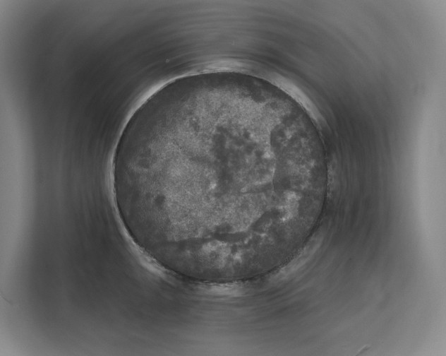 X0000112351047200909101039