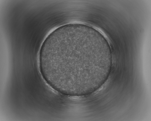 X0000112351048200909101039