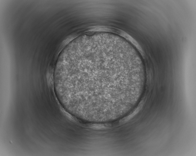 X0000112351049200909101039