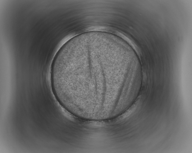 X0000112351050200909101039