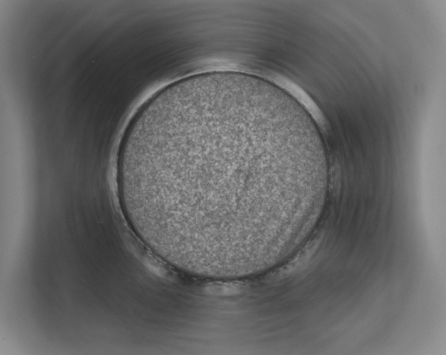 X0000112351051200909101039