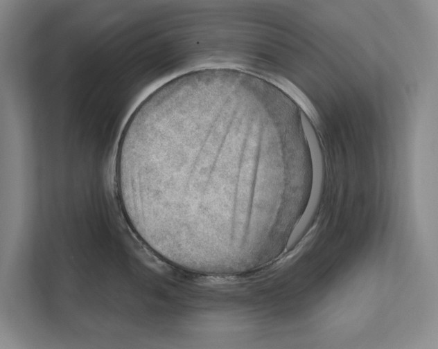 X0000112351052200909101039