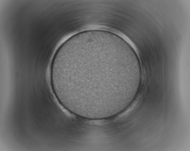 X0000112351053200909101039