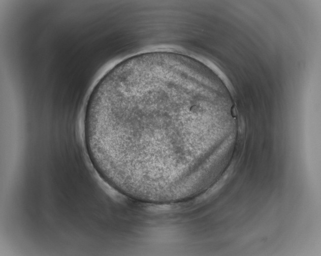 X0000112351054200909101039