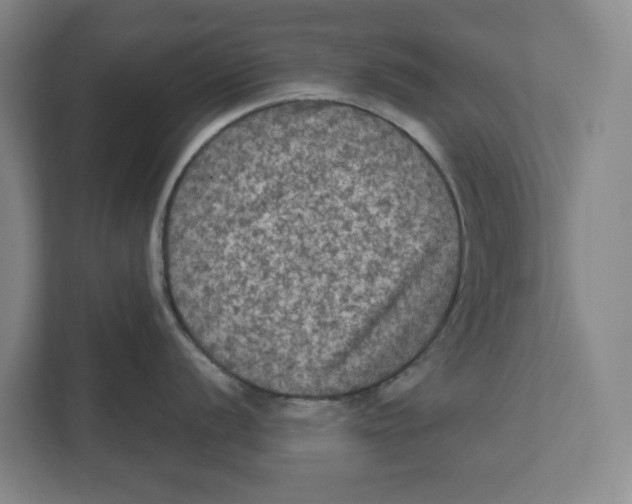 X0000112351056200909101039