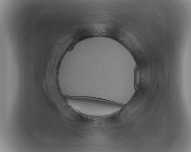 X0000112351057200909101039