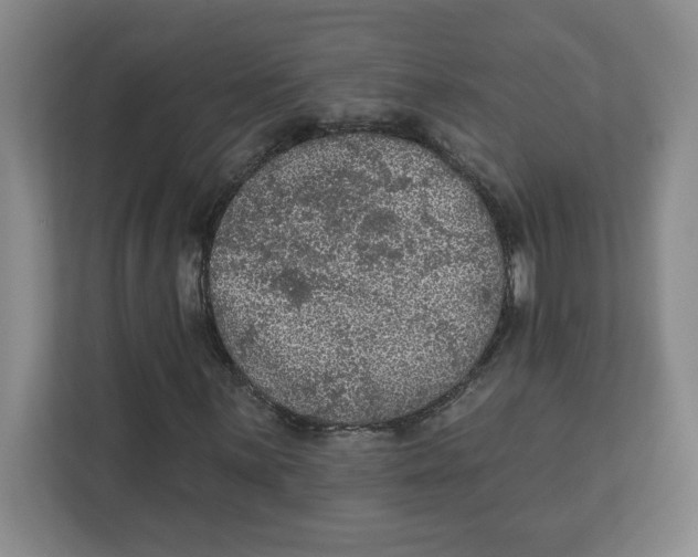 X0000112351059200909101039