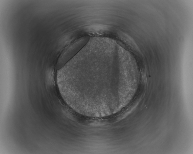 X0000112351060200909101039