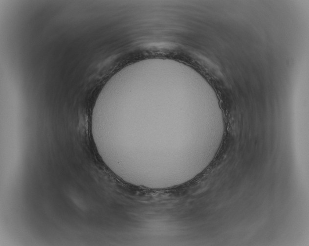 X0000112351061200909101039