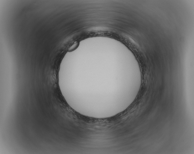 X0000112351062200909101039