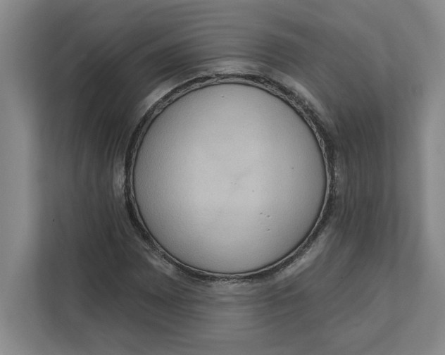 X0000112351065200909101038