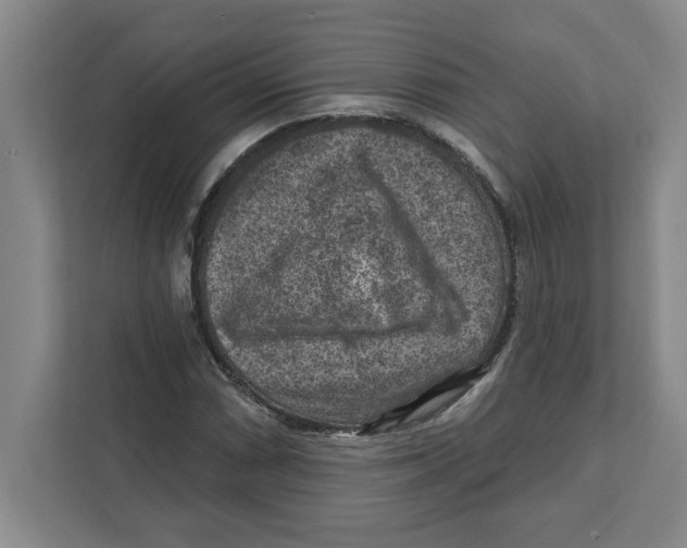 X0000112351066200909101038