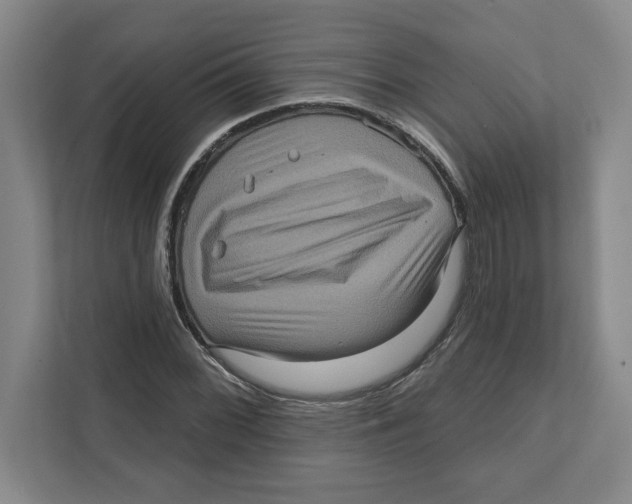 X0000112351068200909101038