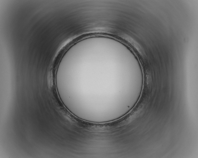 X0000112351069200909101038