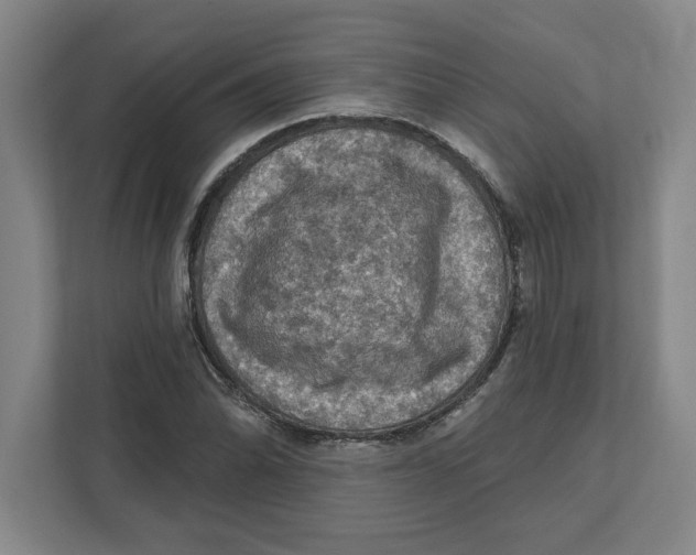 X0000112351070200909101038