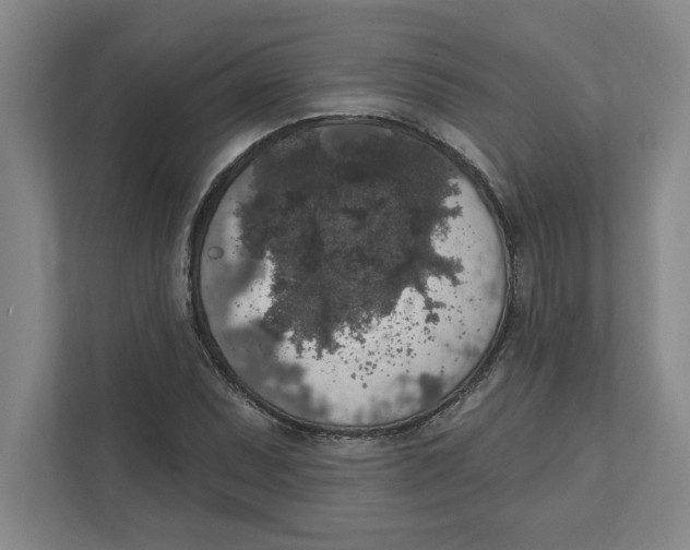 X0000112351071200909101038