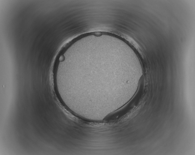 X0000112351072200909101038