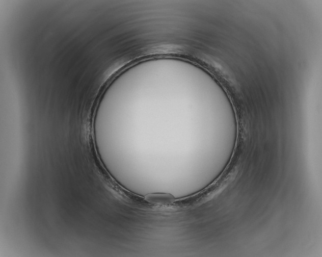 X0000112351073200909101038