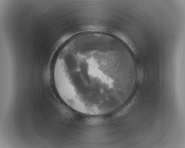 X0000112351074200909101038