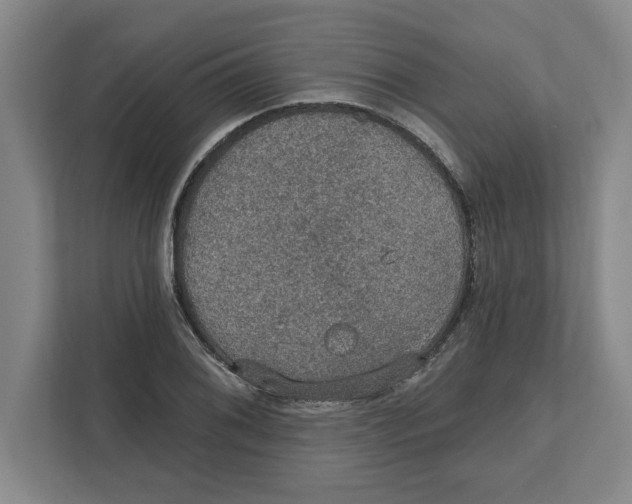 X0000112351076200909101038