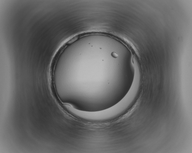 X0000112351077200909101038