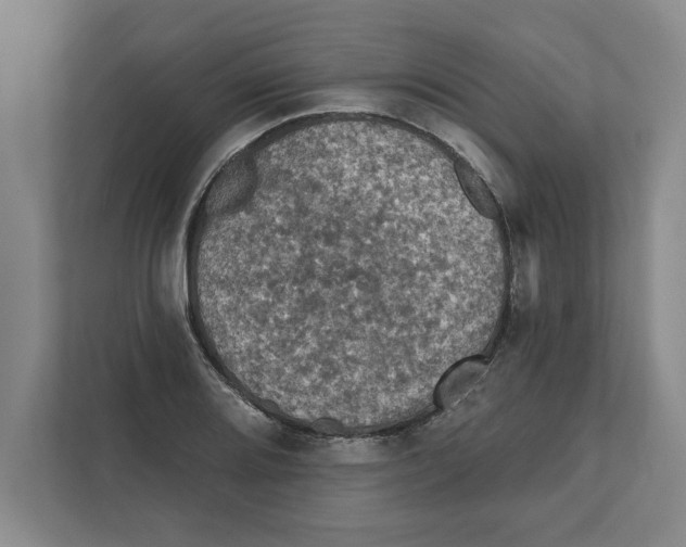 X0000112351080200909101038