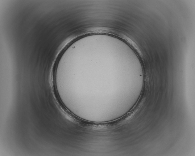 X0000112351082200909101038