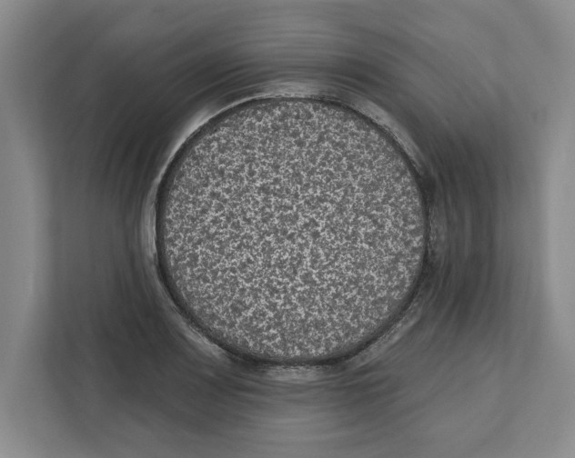 X0000112351083200909101038