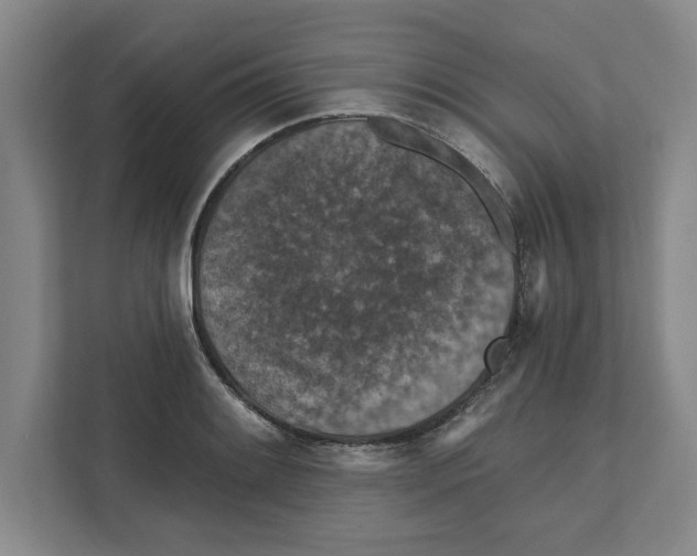 X0000112351084200909101038