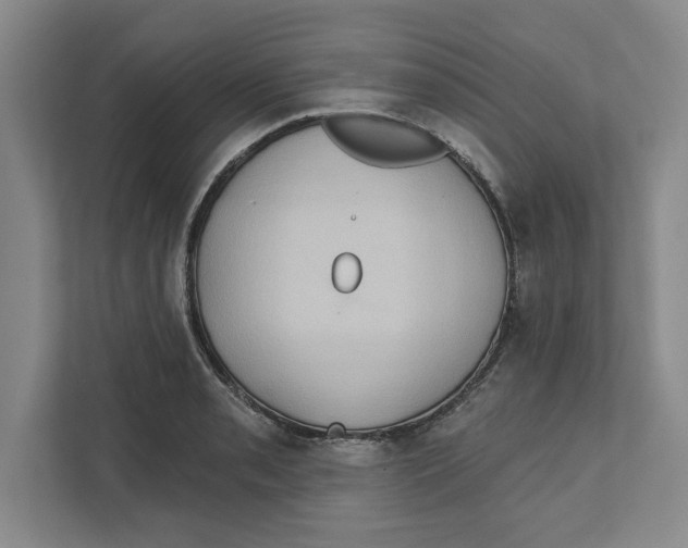 X0000112351085200909101038