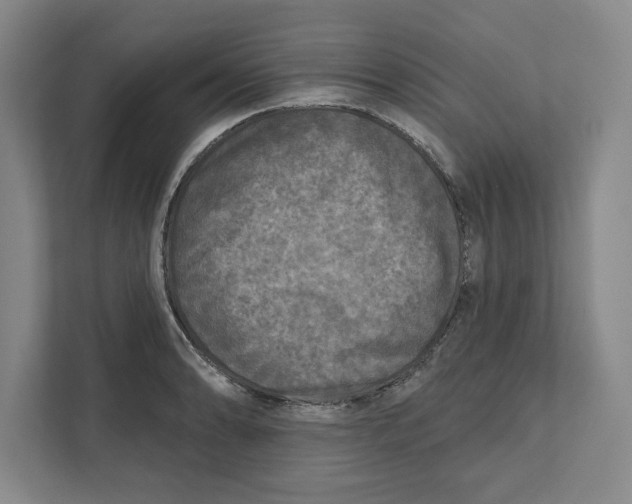 X0000112351086200909101038