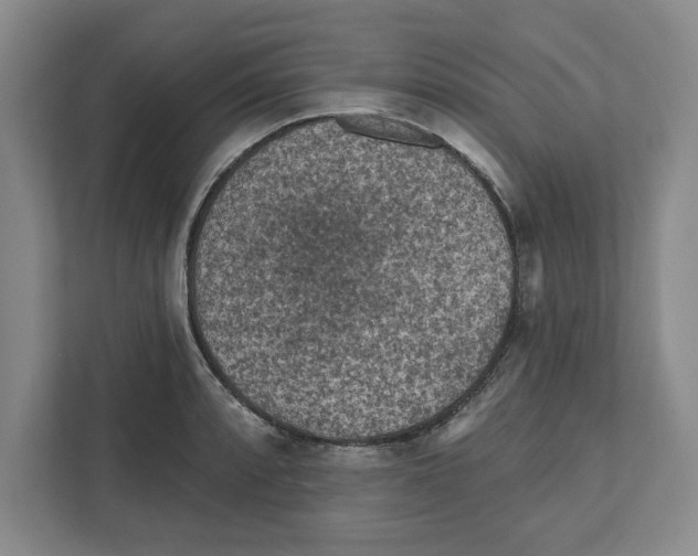 X0000112351088200909101038