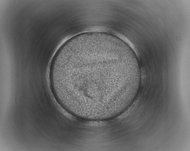 X0000112351091200909101038