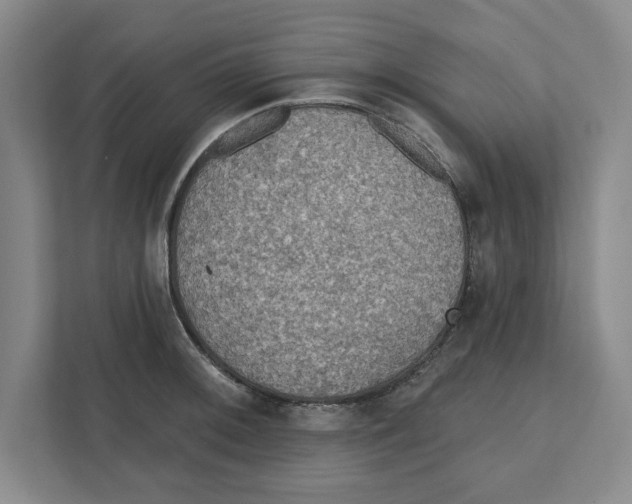 X0000112351092200909101038