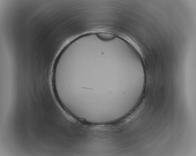 X0000112351093200909101038