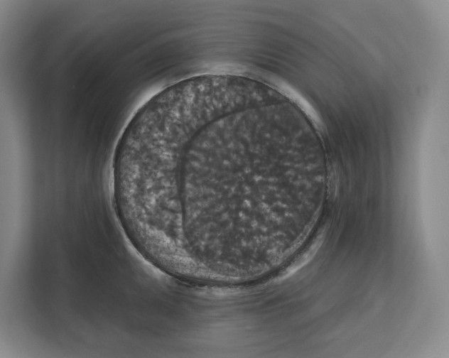 X0000112351095200909101038