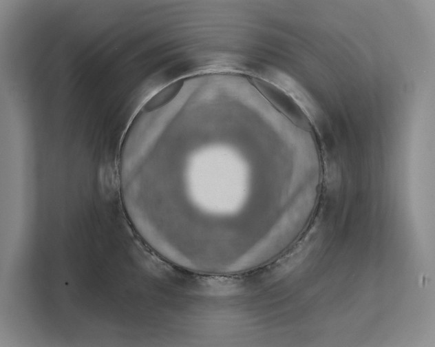 X0000112351097200909101038