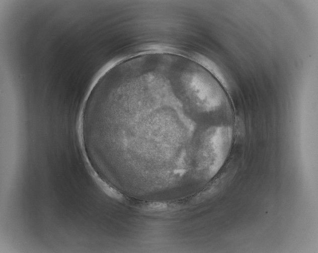 X0000112351098200909101038