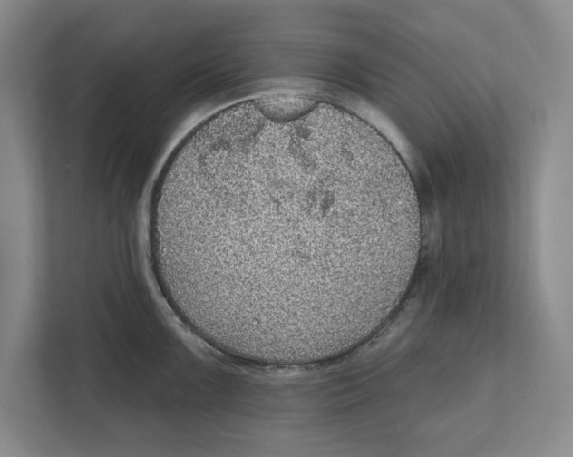 X0000112351099200909101038