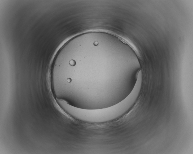 X0000112351100200909101038