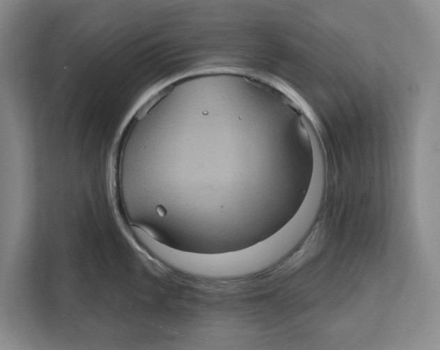 X0000112351101200909101038